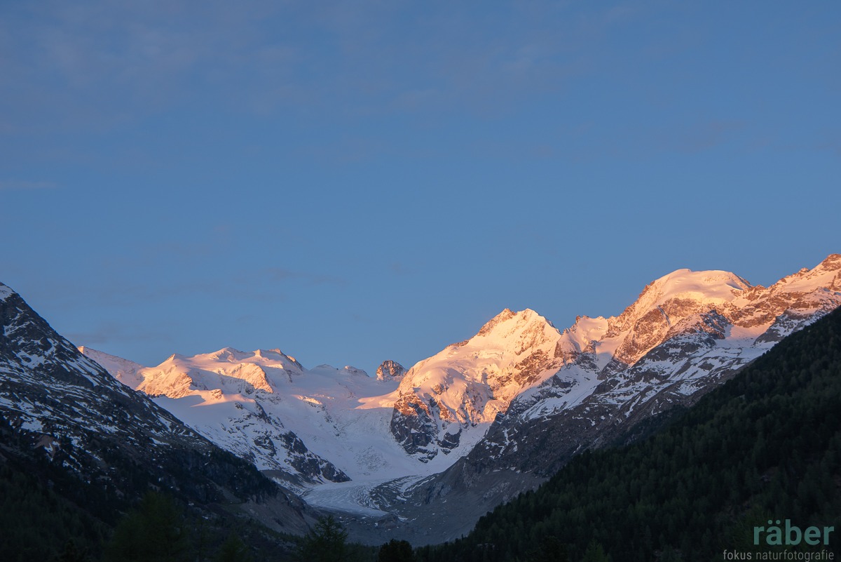 Sonnenaufgang am Piz Palü, Bella Vista, Piz Bernina mit Bianco-Grat, Engadin, Kanton Graubünden, 24.05.2020
