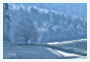 Landschaftsfotografie: Ein Baum früh am Morgen. Die Sonne geht auf und verändert fast sekundenweise die Lichtstimmung.